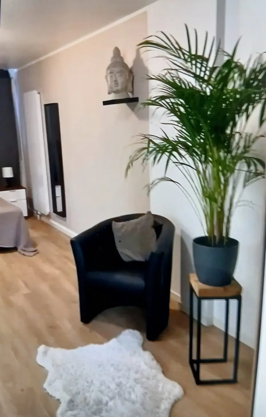 Grosszügiges Loft-Apartment mit Sofa und Bett in einem offenen Raum